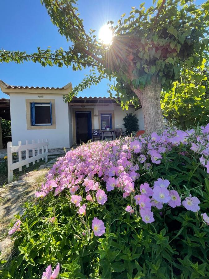 Vasilopoulos Estate Koróni Exteriér fotografie