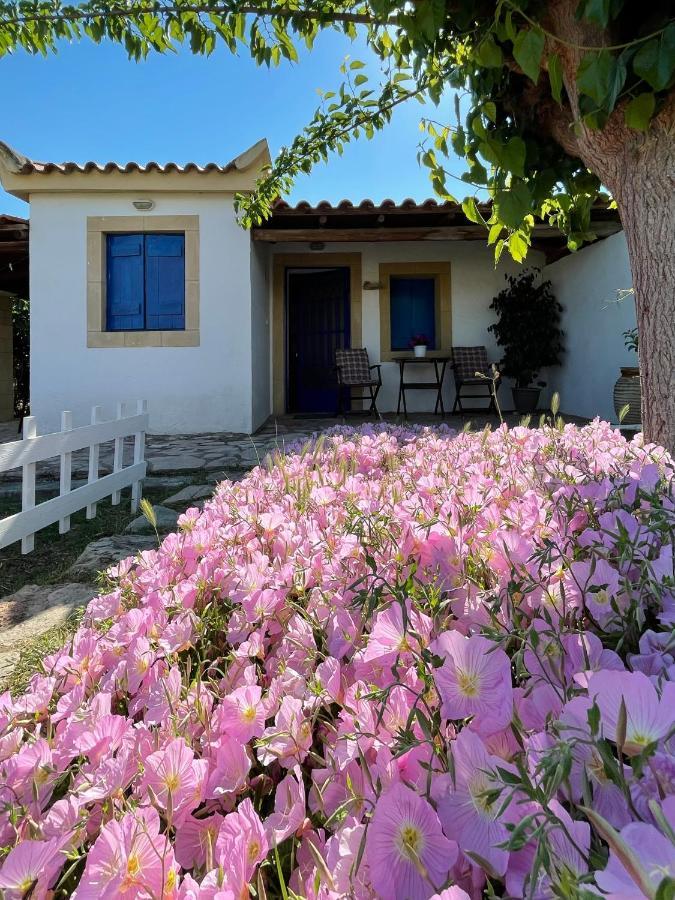 Vasilopoulos Estate Koróni Exteriér fotografie